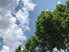 -只有卤肉饭(大理店)