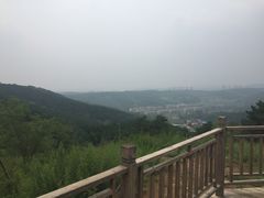 -高尔山公园