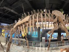 -国家自然博物馆