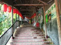 -鲤鱼塘农家山庄