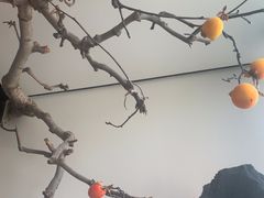 -杏花堂晋商私房菜(华熙五棵松店)