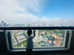 -新加坡瑞士史丹福酒店