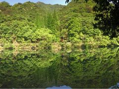 -宁海森林温泉