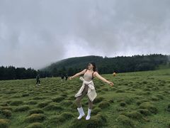 -芦芽山旅游度假区