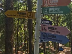 -重庆睡佛山森林公园