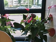 -章氏(广粤路店)
