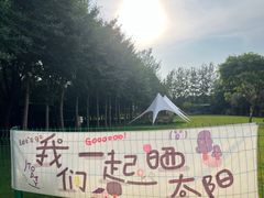 -1982农场