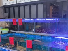 -金海湾海鲜排档(朱家尖店)