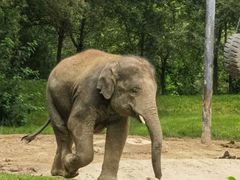 -北京野生动物园