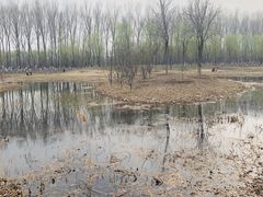 -东郊湿地公园