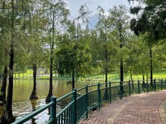 -深圳龙潭公园