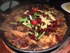 -老板恋上鱼(高新万达店)