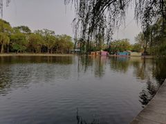 -北陵公园