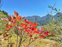 -玉渡山自然风景区