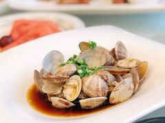 姜葱炒花蛤-骏莱海鲜鱼港(五角场店)
