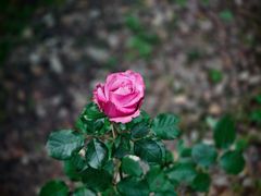 -苏州河梦清园环保主题公园