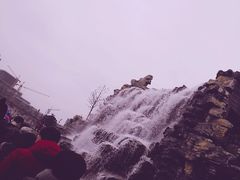 -枫香湖儿童公园