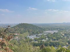 -上海佘山国家森林公园西佘山园