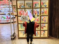 -杭州开元森泊度假乐园