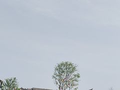 -磁器口古镇