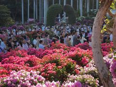 -东莞植物园