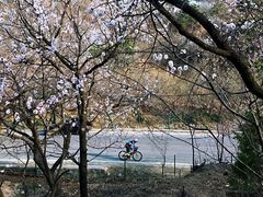-十三陵水库