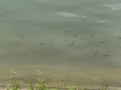-苏记农家菜馆