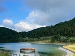 -武陵山森林公园