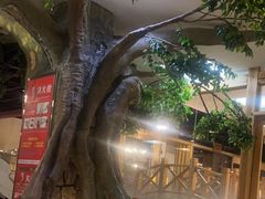-爱江山温泉(凌奥店)