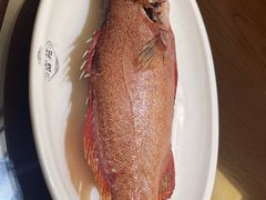 -吴记富苑(朝阳店)