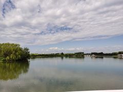 -大兴滨河森林公园