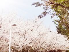 -白塘生态植物园