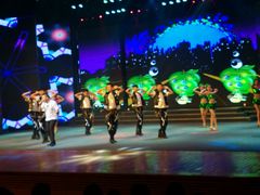 android_upload_pic-南风大剧院莎梦二人转剧场