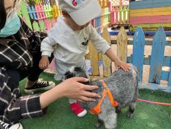 -萌宠亲子动物乐园(槐房万达店)