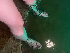 -宝丽金大酒店·洗浴中心