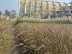 -中国天府农业博览园