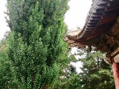 -张掖大佛寺景区