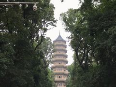 -灵谷景区