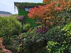 -中国茶叶博物馆(双峰馆区)