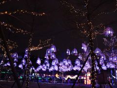 -飞凤山奥体公园