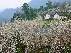 -樱桃山旅游景区