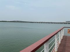 -天津金海湖