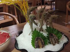 小鲍鱼-尚海豆捞(乐虹坊店)