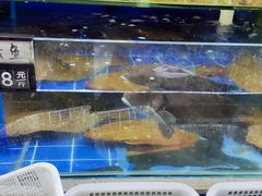 -常家活海鲜小吃(仅一家无分店)