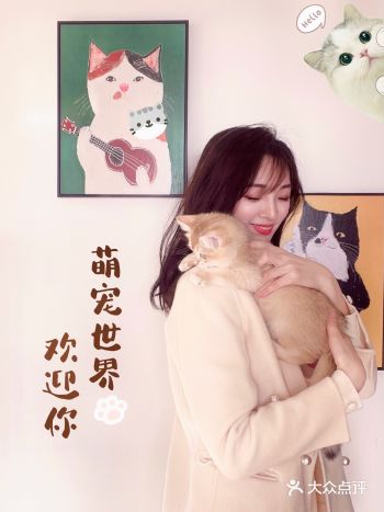 前几天去望京偶然发现了这家69猫舍，同行的朋友一直都