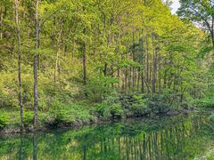-素山寺森林公园