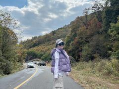 -天女山森林公园