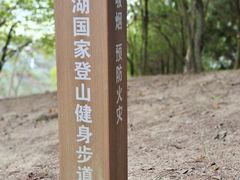 -千岛湖天屿景区