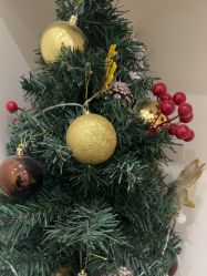 -MONICABOX美甲美睫