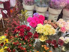 -海马体照相馆(大连罗斯福广场店)